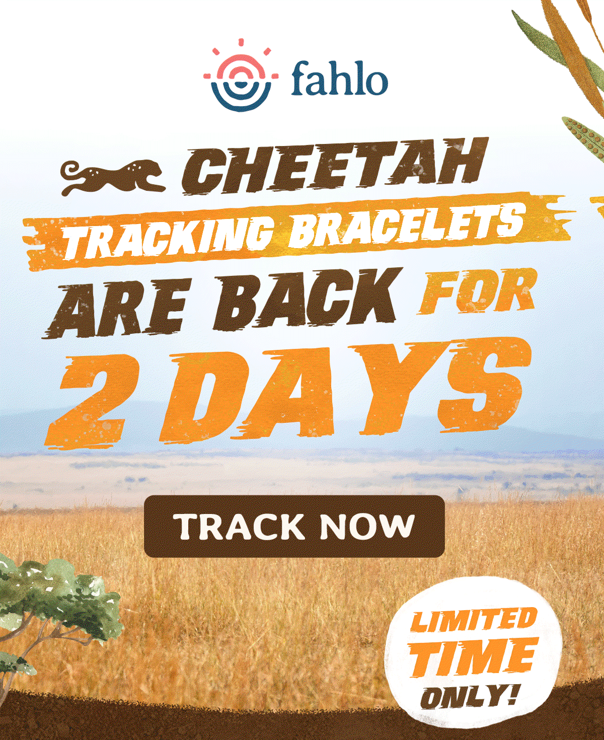 Cheetah tracking bracelets are back for 2 days. Shop the sprint bracelet now!
