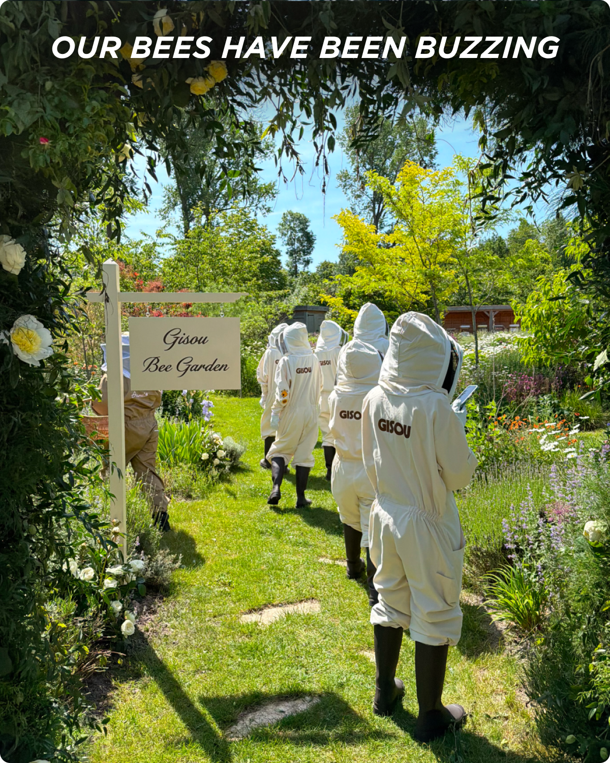 Our bees have been buzzing