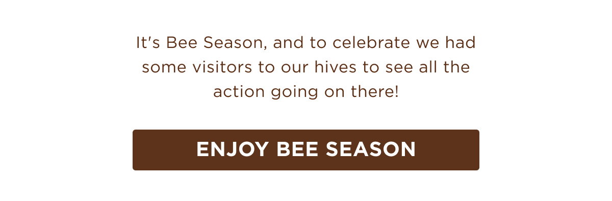 Some visitors came to our hives to see all that's going on there!