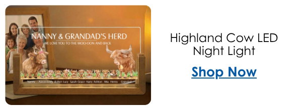 Highland Cow LED Night Light