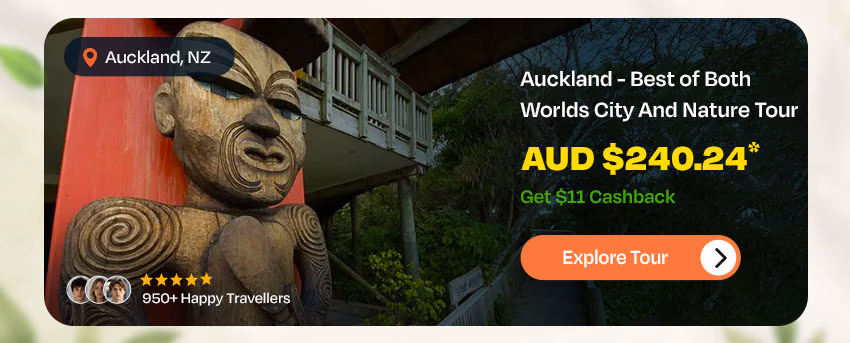 https://www.backpackerdeals.com/new-zealand/auckland/auckland-city-and-nature-tour