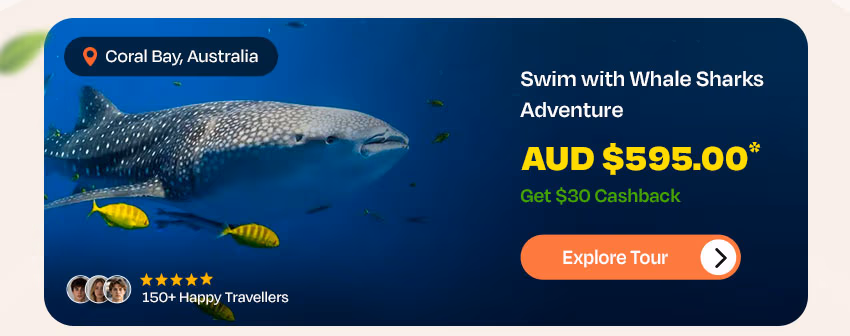 https://www.backpackerdeals.com/australia/coral-bay/whale-shark-adventure