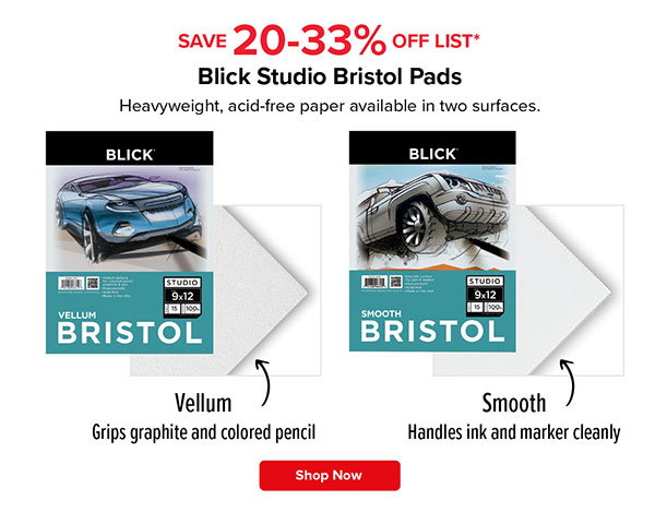 Blick Studio Bristol Pads