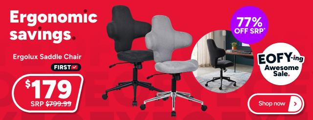 Ergolux Saddle Chair 