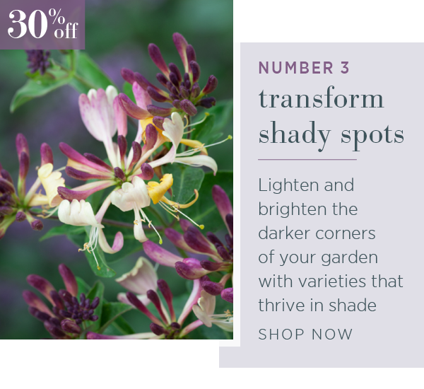Number 3. Transform shady spots.
