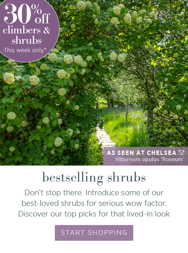 Bestselling shrubs