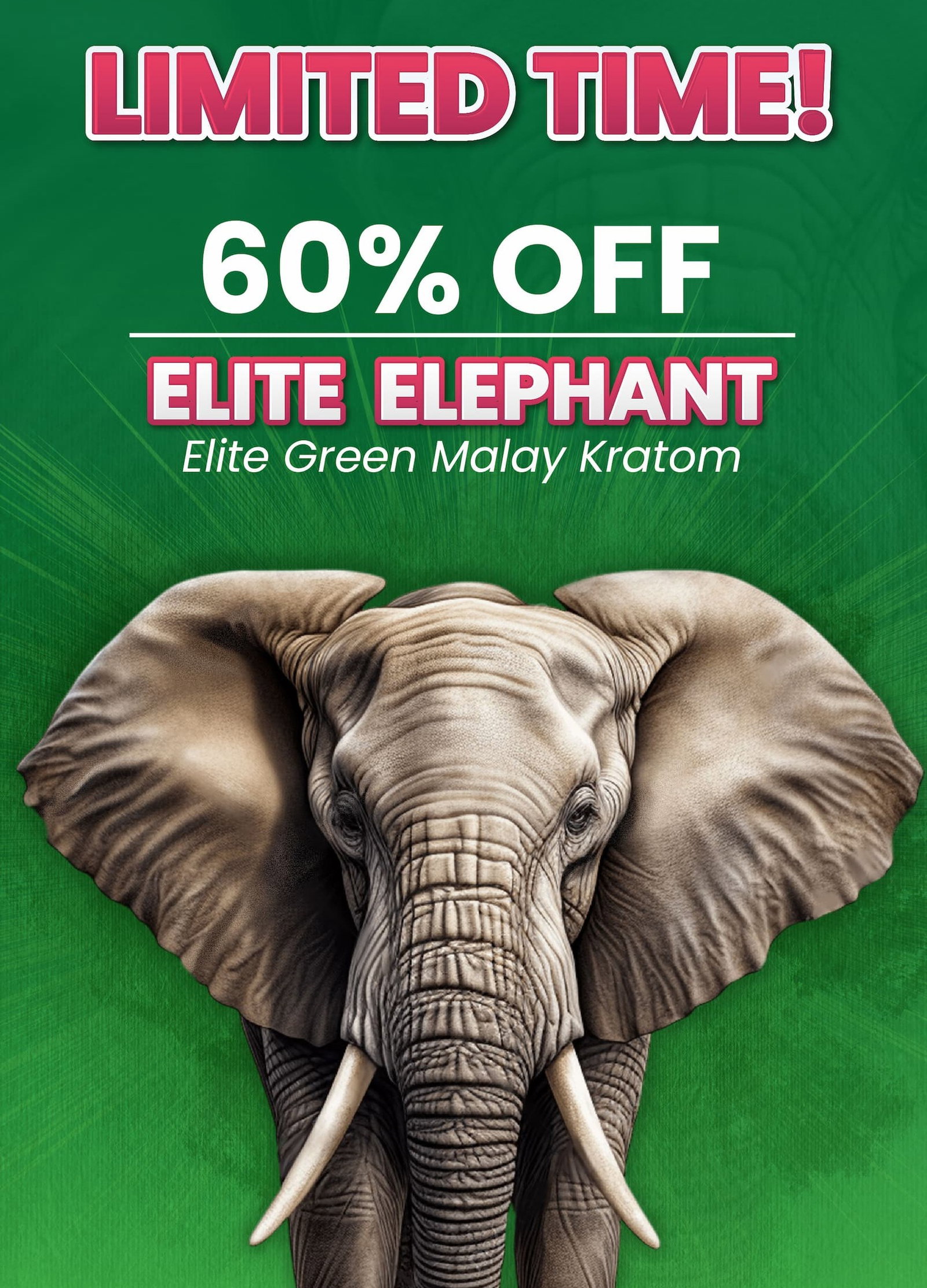 Elite Elephant - Green Malaysian Kratom Powder and Capsules - 60% OFF Sale