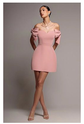 Bardot Plunge Neck Bow Sleeve Skater Mini Dress