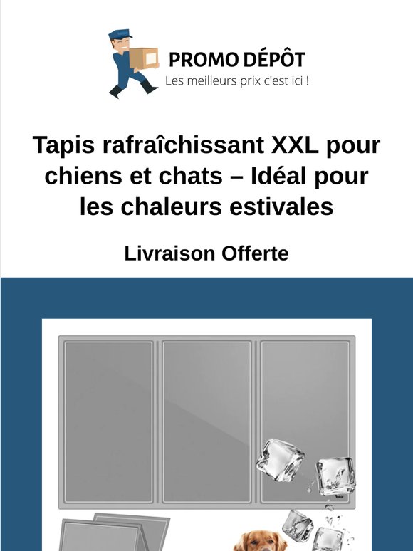 Découvrez notre Tapis rafraîchissant XXL pour chiens et chats – Idéal pour les chaleurs estivales
