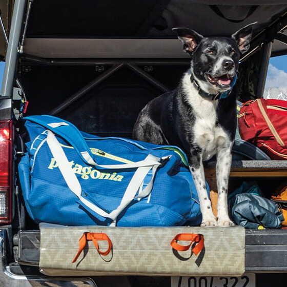 Patagonia Taschen