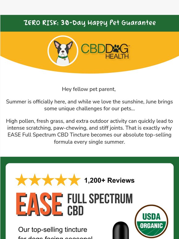 Our #1 summer best-seller ☀️🐾