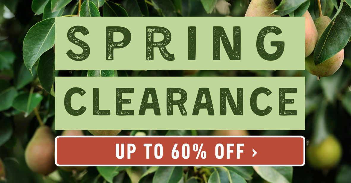Spring Clearance