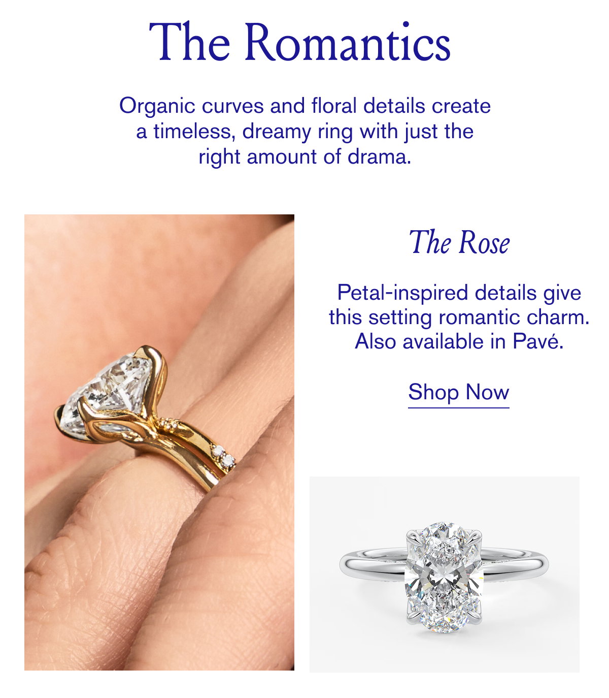 The Rose