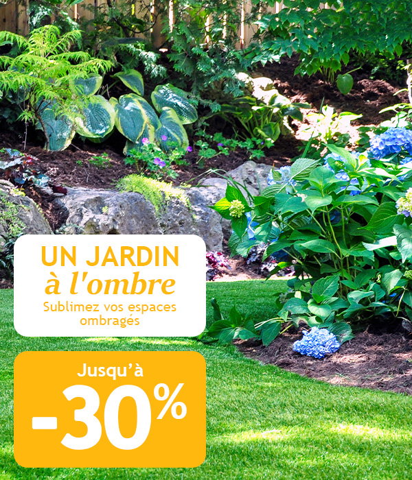 Jusqu'à -30% pour un jardin à l'ombre !