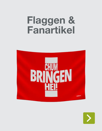 Flaggen & Fanartikel