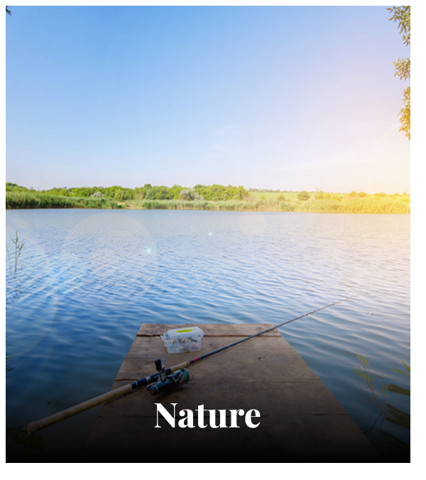 Nature. Browse Nature Murals.