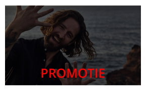 Promotie