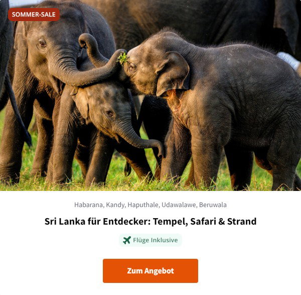 Sri Lanka für Entdecker: Tempel, Safari & Strand