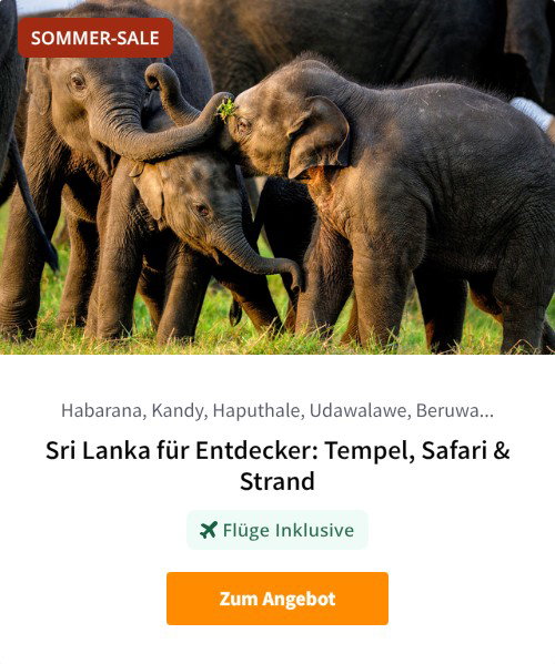 Sri Lanka für Entdecker: Tempel, Safari &amp; Strand