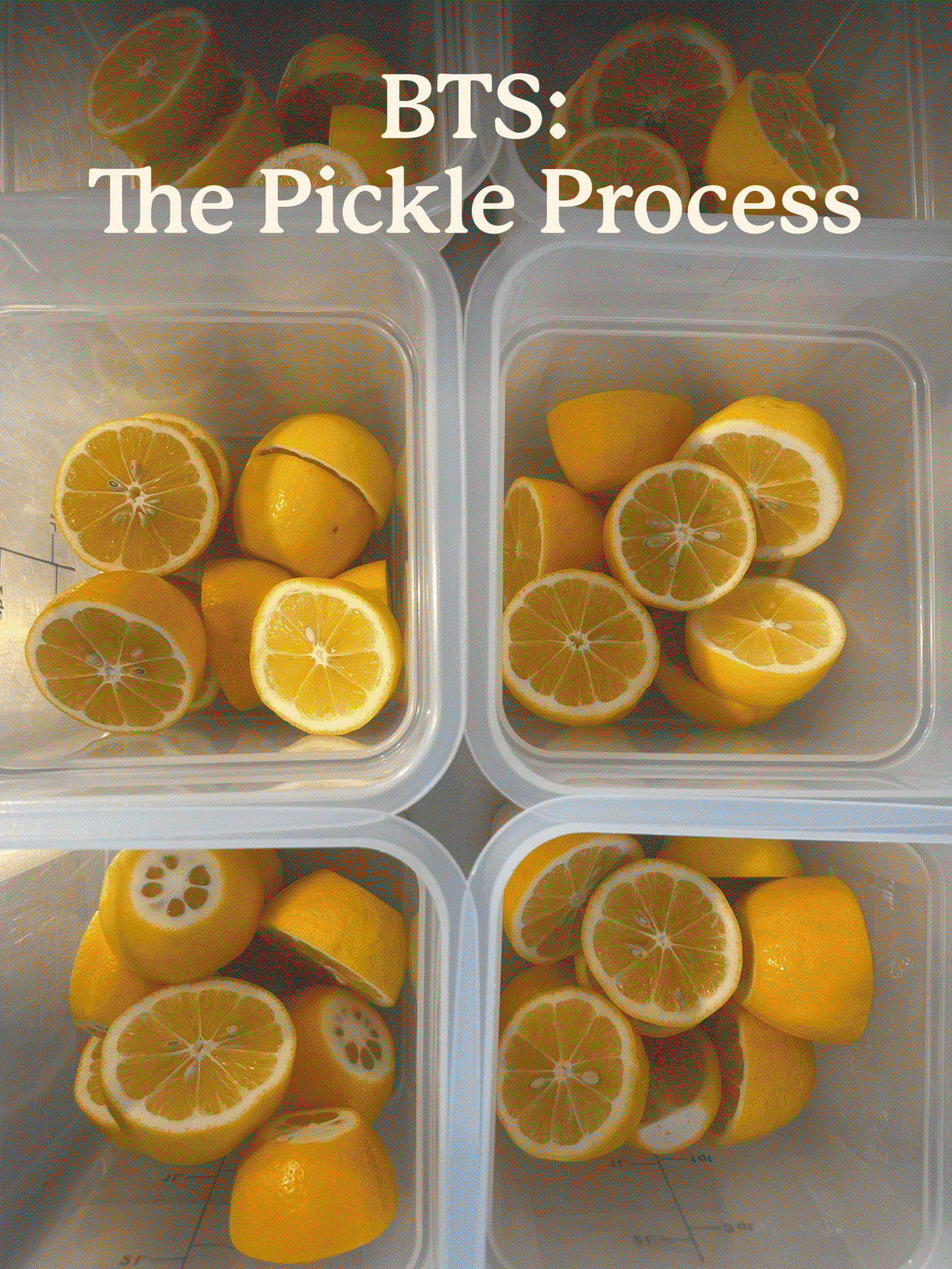 BTS: The Pickle Process