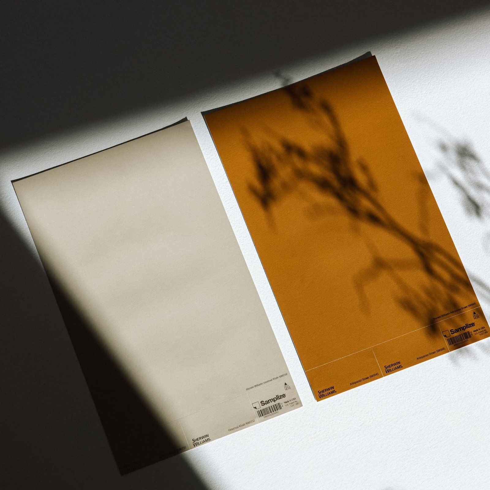 Explore The Process →