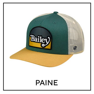 Paine 