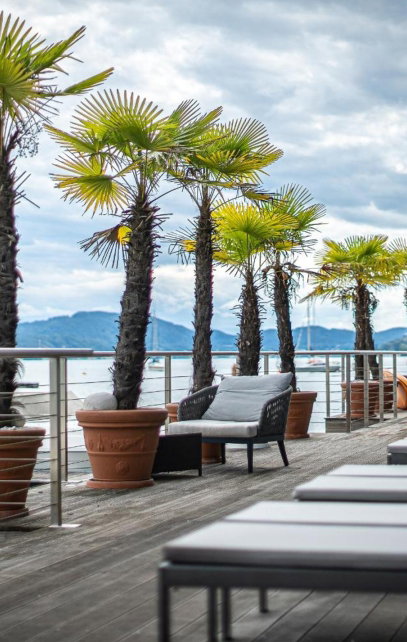 Hotel Terrasse mit Palmen direkt am Wörthersee