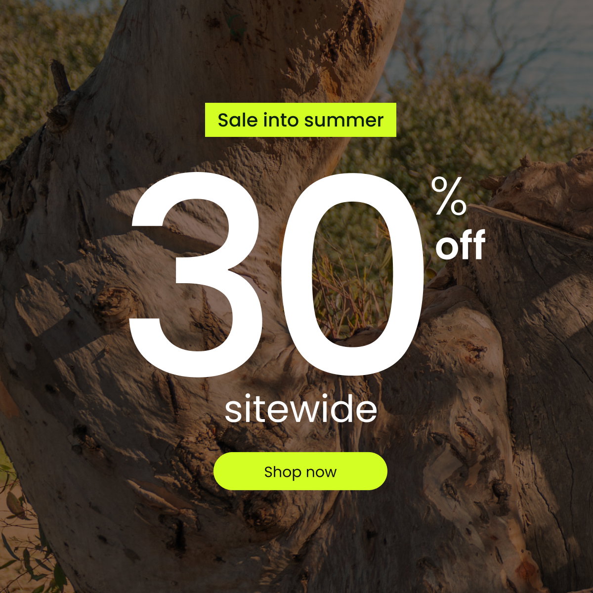 SALE INTO SUMMER [ SHOP NOW ]