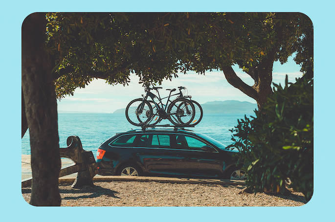 bicycle day