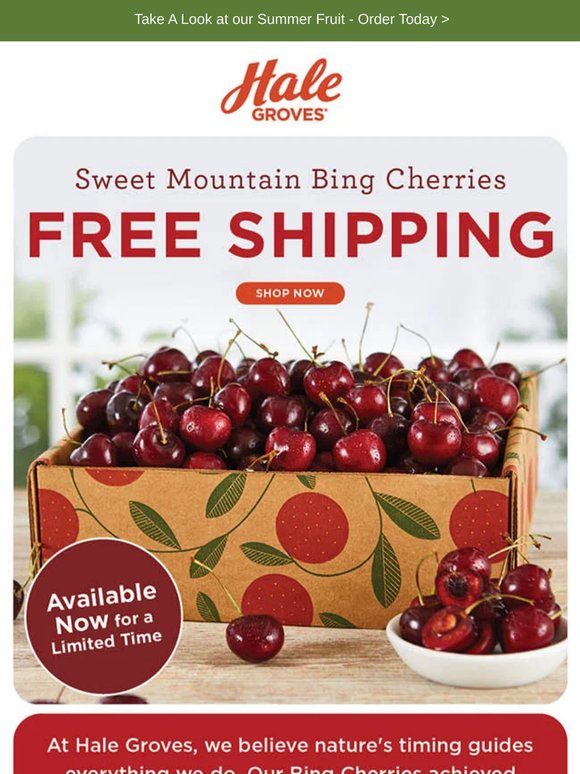 🍒 FREE SHIPPING on Sweet Mountain Bing Cherries 🍒