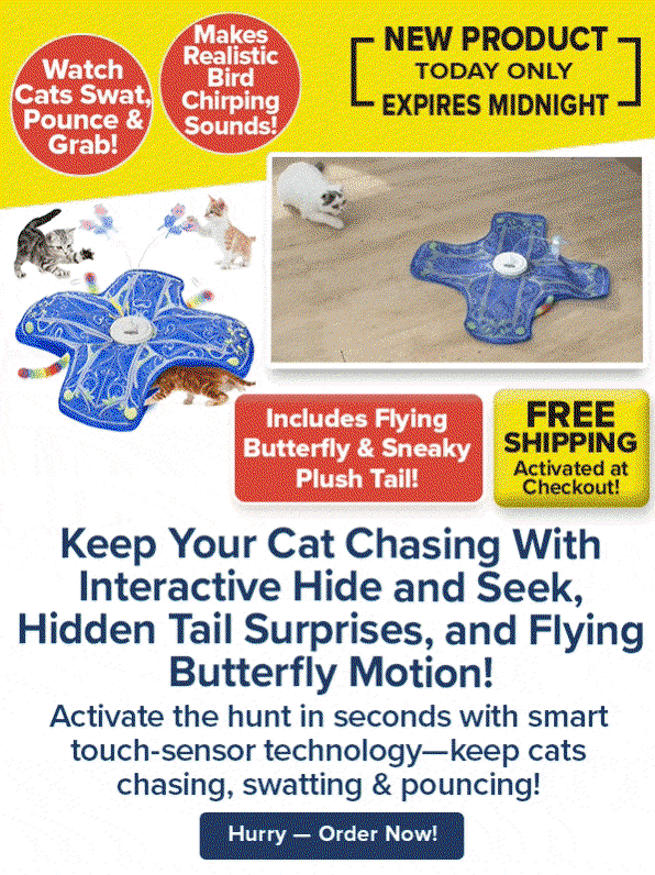 Keep Your Cat Chasing With Interactive Hide and Seek, Hidden Tail Surprises, and Flying Butterfly Motion!