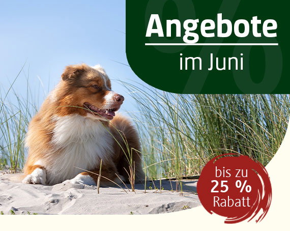 ANGEBOTE im Juni