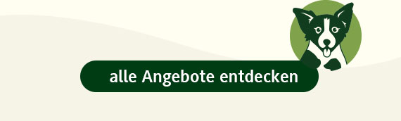 alle Angebote entdecken