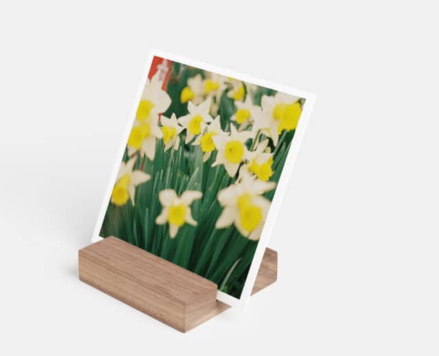 Photo block and prints