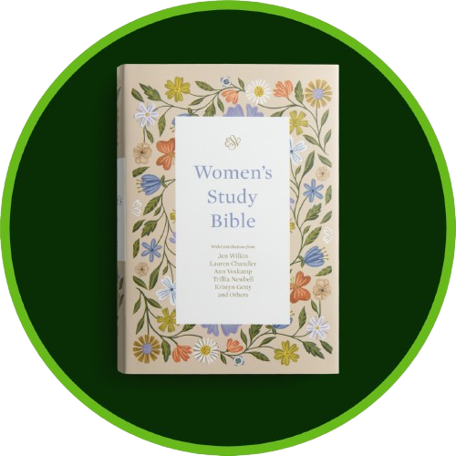 New Bibles