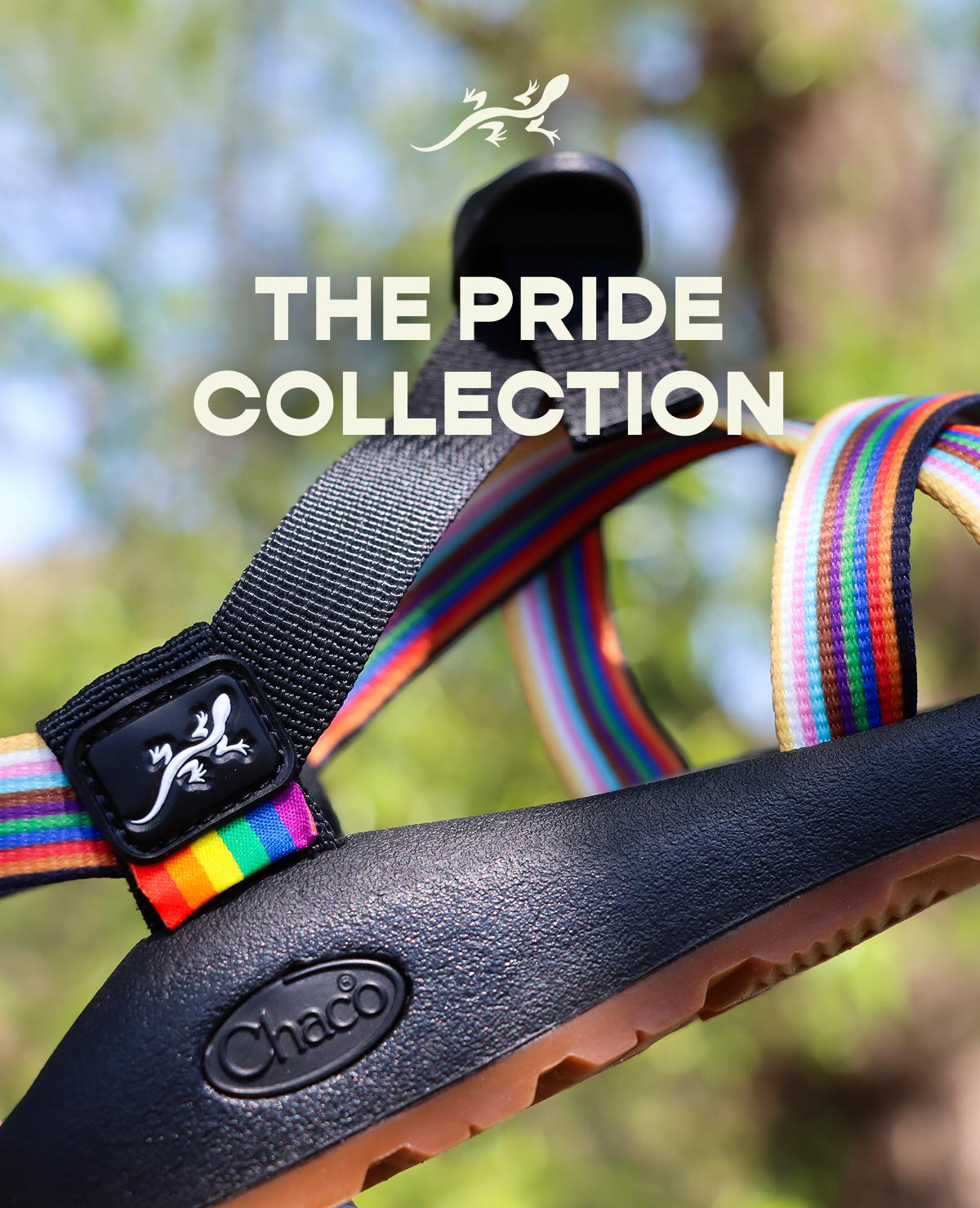 Chaco. The Pride Collection