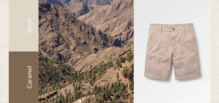 Vantage Cotton Canvas