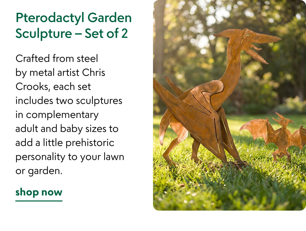 pterodactyl-garden-sculpture-set-of-2