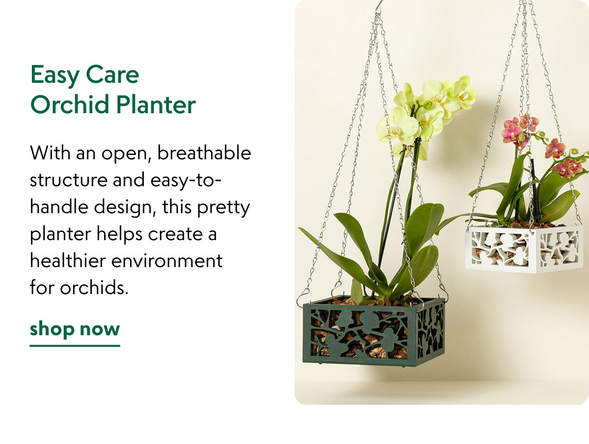 easy-care-orchid-planter