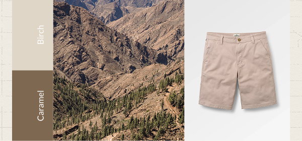Vantage Cotton Canvas