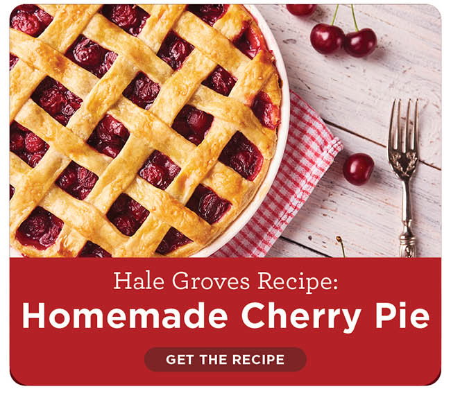 Homemade Cherry Pie Recipe