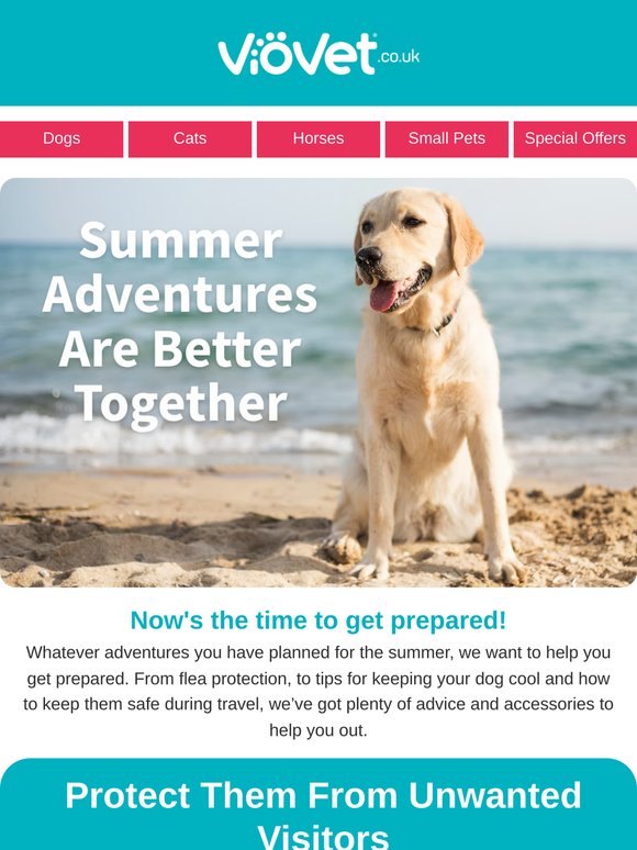 Get ready for summer adventures with your dog ☀️