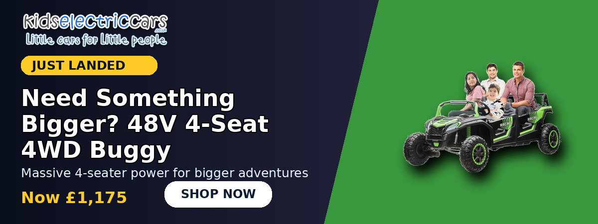 48V 4 Seat Buggy