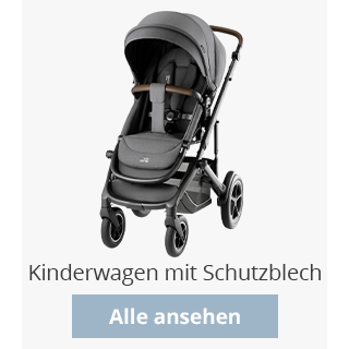 Kinderwagen mit Schutzblech