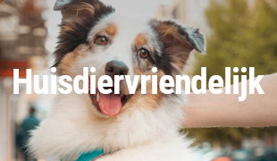 Huisdiervriendelijke vakantieparken