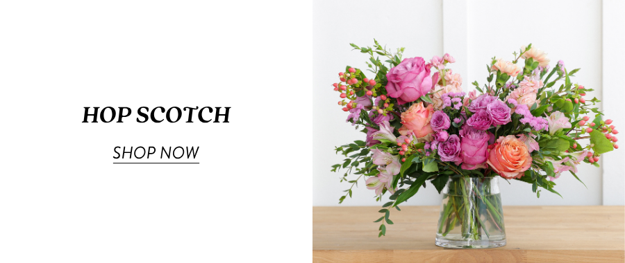 Product section featuring the text “Hop Scotch” and “Shop Now” beside a clear glass vase arrangement with pink, coral, purple, and green flowers.