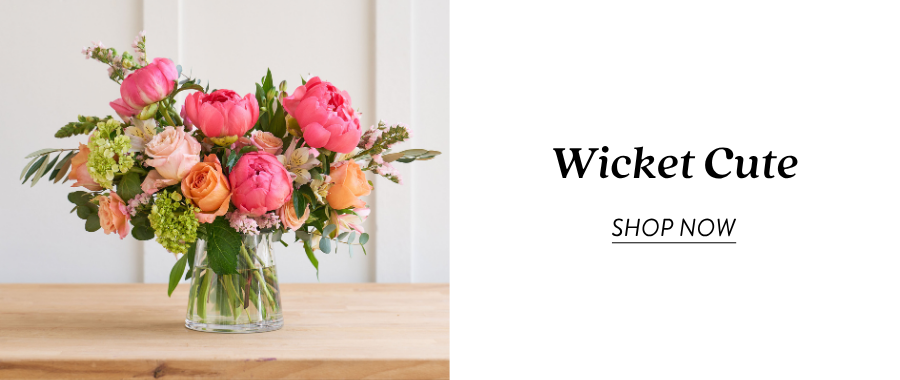 Product section featuring a clear glass vase arrangement with coral and pink flowers, green hydrangea, and greenery next to text reading “Wicket Cute” and “Shop Now.”