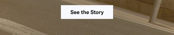 See the Story