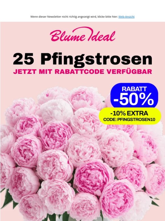 -60% + 10% EXTRA 💥 Pfingstrosen im DEAL!