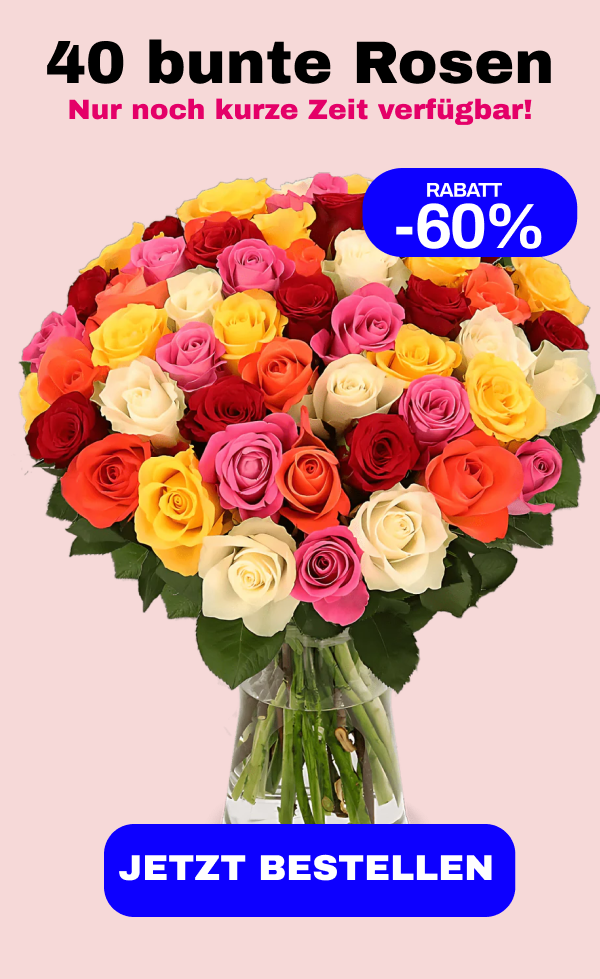 40 bunte Rosen
